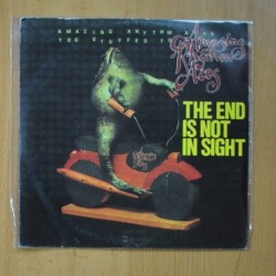 AMAZING RHYTHM ACES - THE END IS NOT IN SIGHT / LITTLE ITALY RAG - SINGLE
