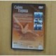 CADENA PERPETUA - DVD