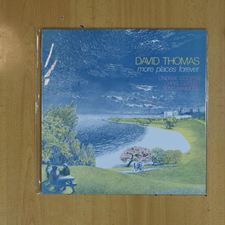 DAVID THOMAS - MORE PLACES FOREVER - LP