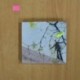 EL HOMBRE DELGADO - Y LOS DESASTRES NATURALES - CD