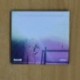 PJ WESTERN - HERE I GO - CD