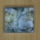 KEVIN SELFE AND THE TORNADOES - KEVIN SELFE AND THE TORNADOES - CD