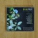 BEL AND THE BOY - WE BELONG HERE - CD