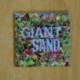 GIANT SAND - RETURNS TO VALLEY OF RAIN - CD