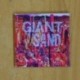 GIANT SAND - RECQUNTING THE BALLADS OF THIN LINE MEN - CD