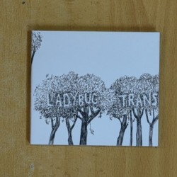 THE LADYBUG TRANSISTOR - HERE COMES THE RAIN EP - CD