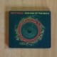 GOVT MULE - DUB SIDE OF THE MULE - CD