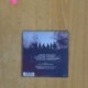 DANNY AND THE CHAMPIONS OF THE WORLD - WHAT KIND OF LOVE - CD