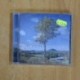 THE WATERBOYS - ALL SOULS HILL - CD