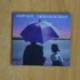 GRUFF RHYS - AMERICAN INTERIOR - CD