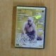 EL DOCTOR MABUSE - DVD