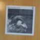 MARI TRINI - ESCUCHAME - LP