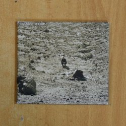 NOONDAY DREAM - NOONDAY DREAM - CD