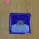 JONATHAN WILSON - RARE BIRDS - CD