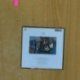 BRUCE SPRINGSTEEN - THE WILD THE INNOCENT - CD