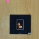 GREG DULLI - RANDOM DESIRE - CD
