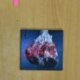 THE JON SPENCER - BLUES EXPLOSION MEAT + BONE - CD