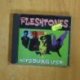 THE FLESHTONES - HITSBURG USA - CD