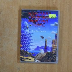 ANDERSON BROFORD WANEMAN HOWE IN THE BIG DREAM - DVD