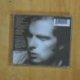 VAN MORRISON - INTO THE MUSIC - CD